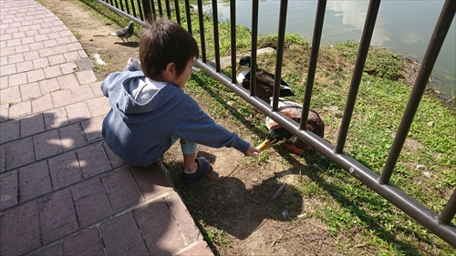 14日・次男と県総合運動公園デート！